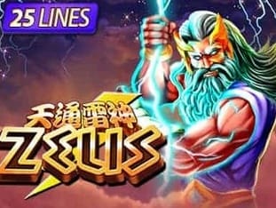 Zeus screenshot