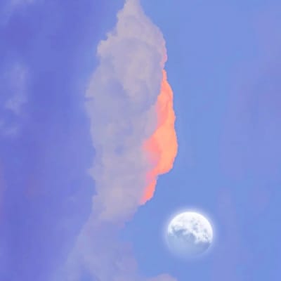 Wiranto avatar